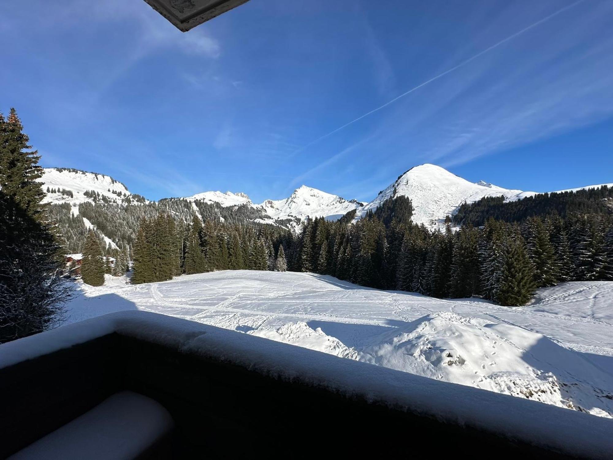 Studio Au Coeur Du Praz-De-Lys - Les Pralyssimes Льо Праз де Лис Екстериор снимка