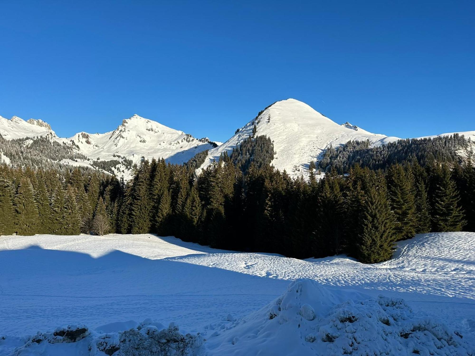 Studio Au Coeur Du Praz-De-Lys - Les Pralyssimes Льо Праз де Лис Екстериор снимка