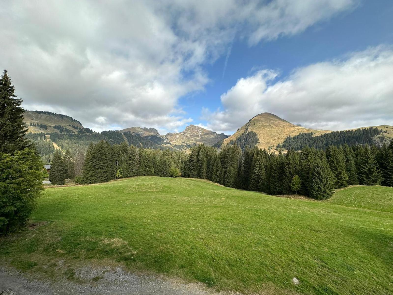 Studio Au Coeur Du Praz-De-Lys - Les Pralyssimes Льо Праз де Лис Екстериор снимка