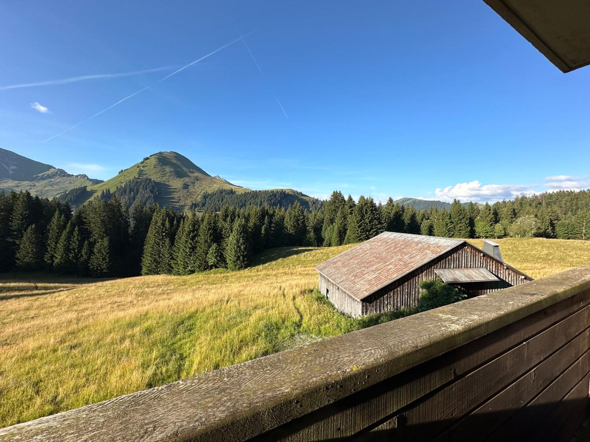Studio Au Coeur Du Praz-De-Lys - Les Pralyssimes Льо Праз де Лис Екстериор снимка